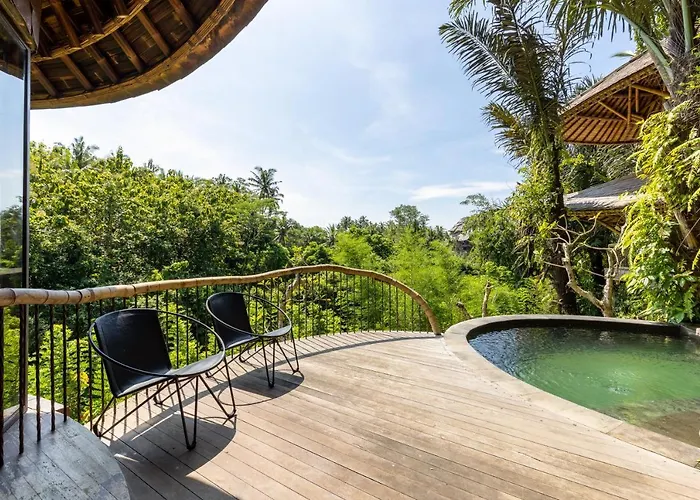 Eclipse House 4bds Eco Bamboo House Pool Riverview