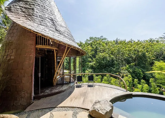 Eclipse House 4bds Eco Bamboo House Pool Riverview * Bringkit