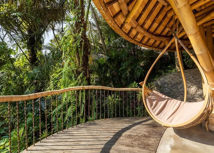 Eclipse House 4bds Eco Bamboo House Pool Riverview * Bringkit
