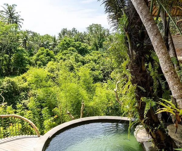 Eclipse House 4bds Eco Bamboo House Pool Riverview Bringkit