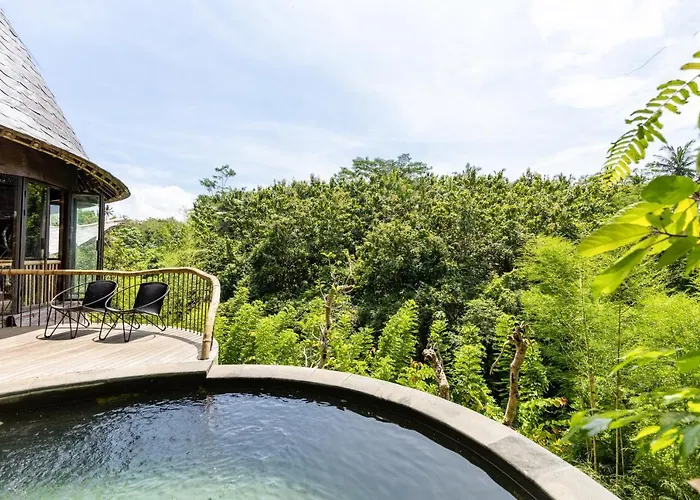 Eclipse House 4bds Eco Bamboo House Pool Riverview *